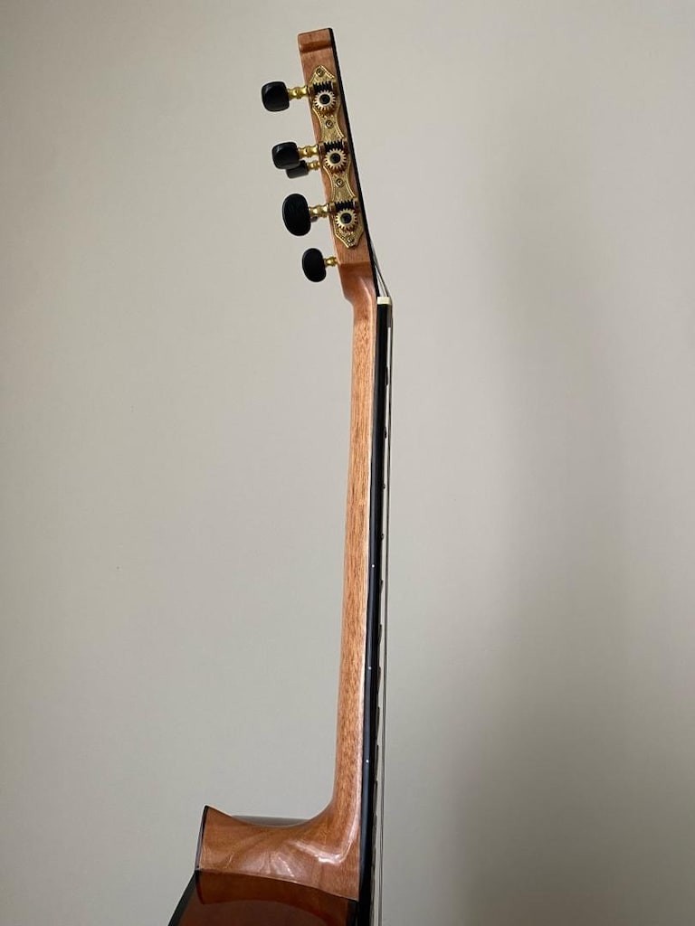 Martinez Gitar+Kılıf - 8