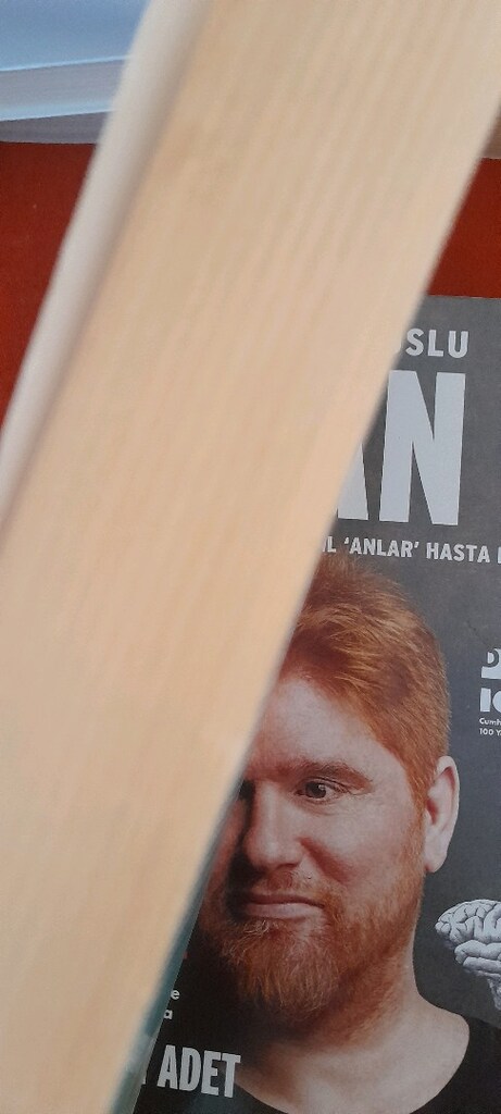 MİKROBİYOTA, ED YONG - 6