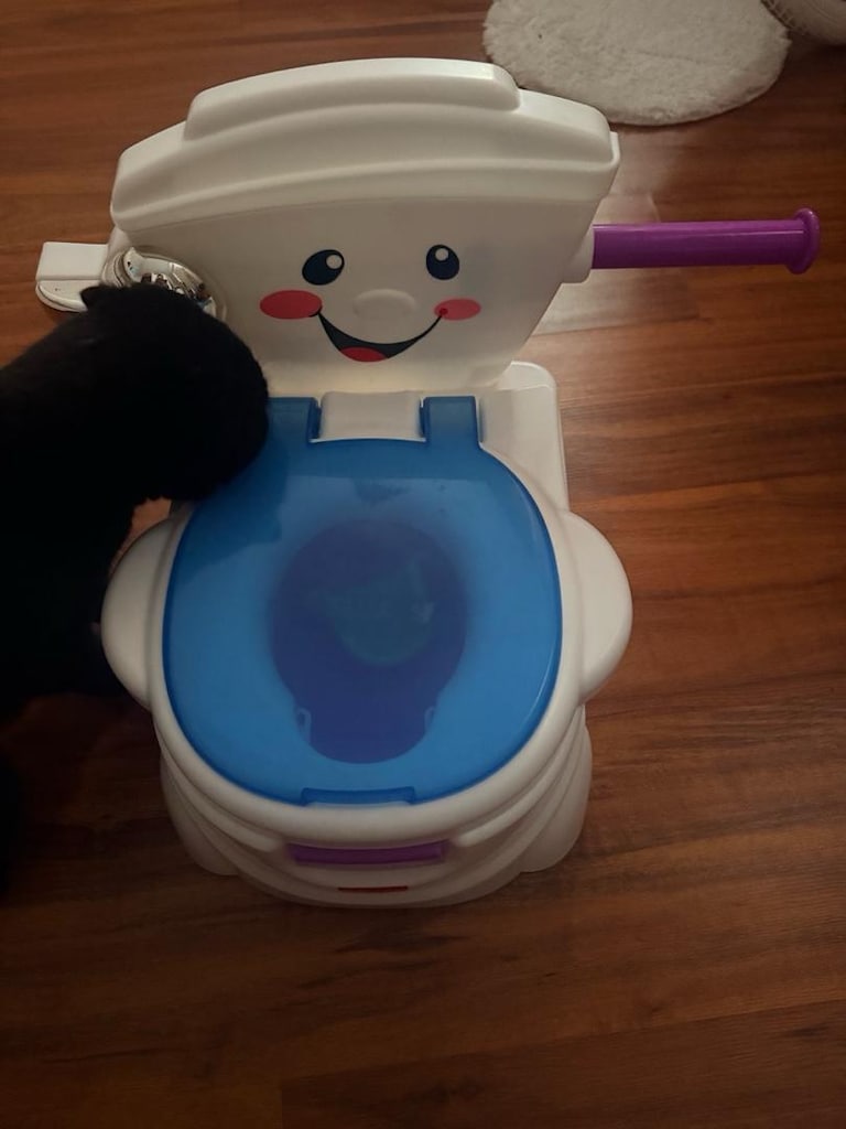 Fisher-Price Eğitici Eğlenceli Tuvalet – Kutulu, Temiz ve Eksiksiz - 6