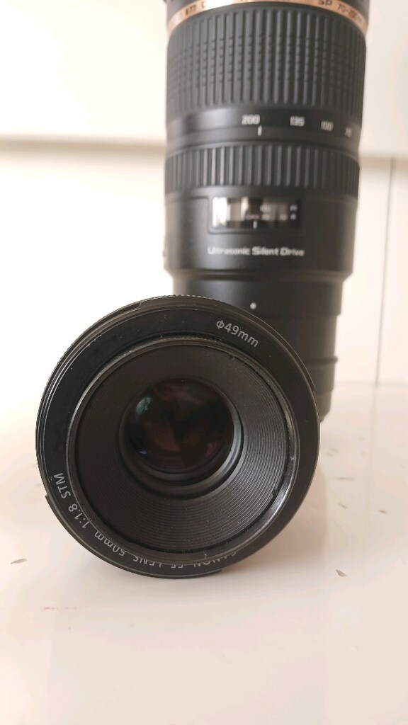 Canon 6d Full Frame -Tamron 70-200 usd di vc lens - 7