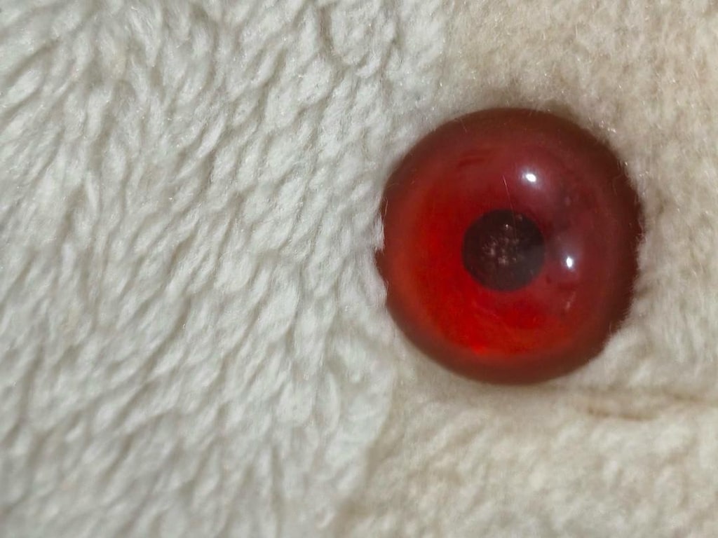 Peluş ayıcık - 3