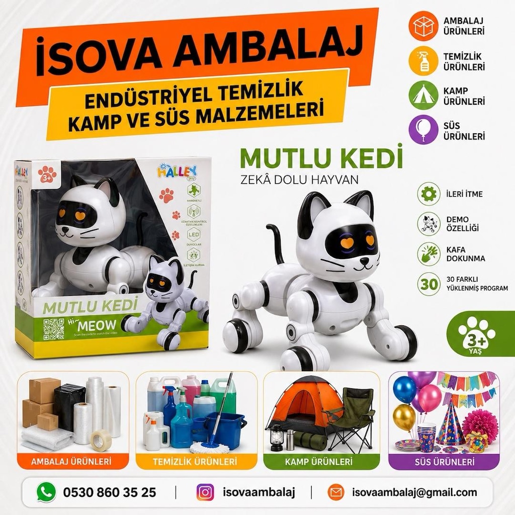Robot Kedi Uzaktan Kumandalı - 2