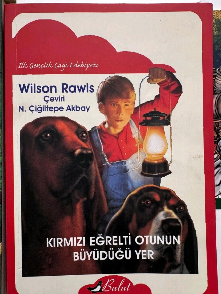Ortaokul Seviyesi İçin Uygun 10 Önerilen Çocuk Kitabı - 10