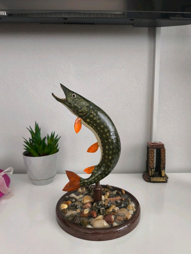 Özel Yapım Turna Balığı Biblosu / Masaüstü Dekor (El Emeği) 1 kg - 7
