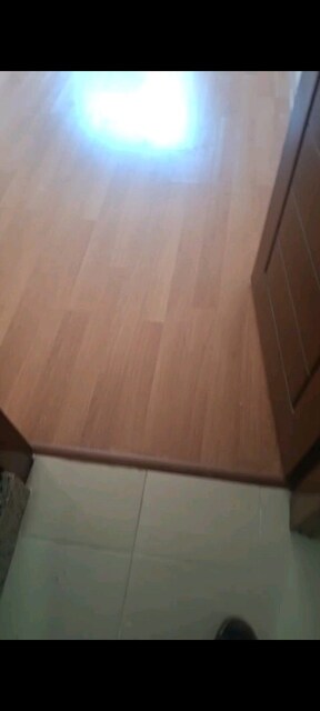 laminant parke
