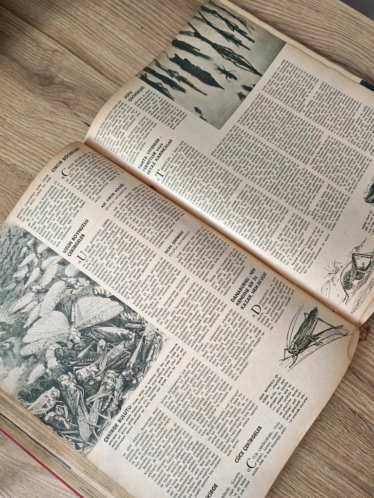 1966 Nisan Baskısı Hayat Hayvanlar Ansiklopedisi – Tek Cilt, Eski Bası - 4