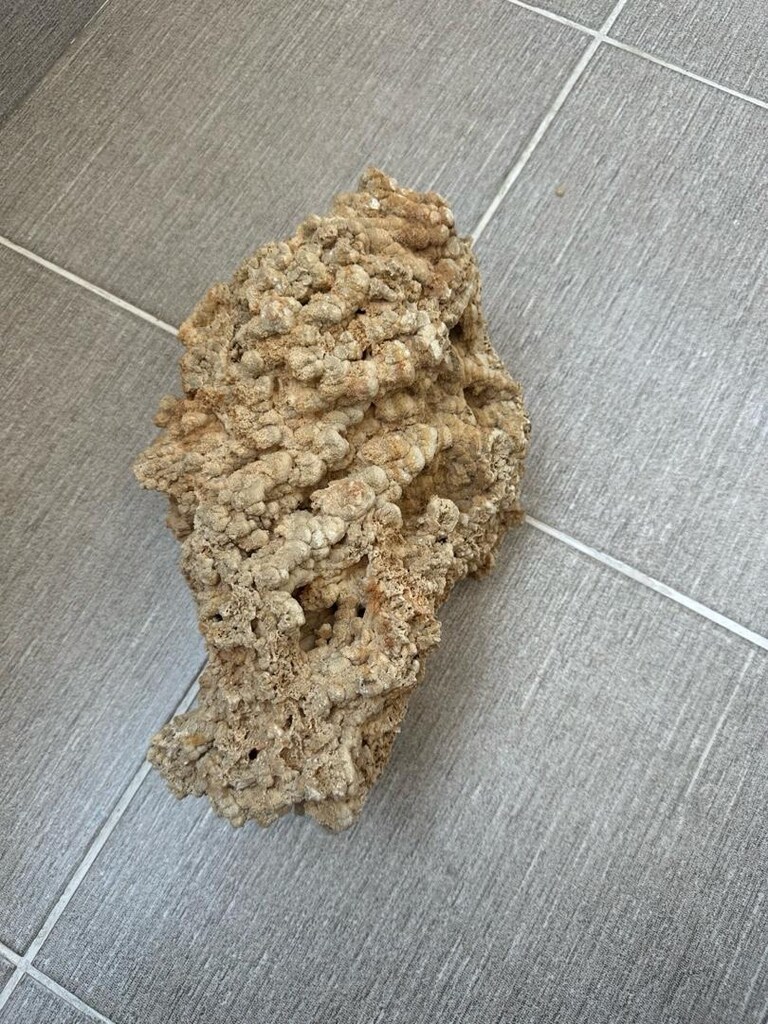 Akvaryum Kaya - 4