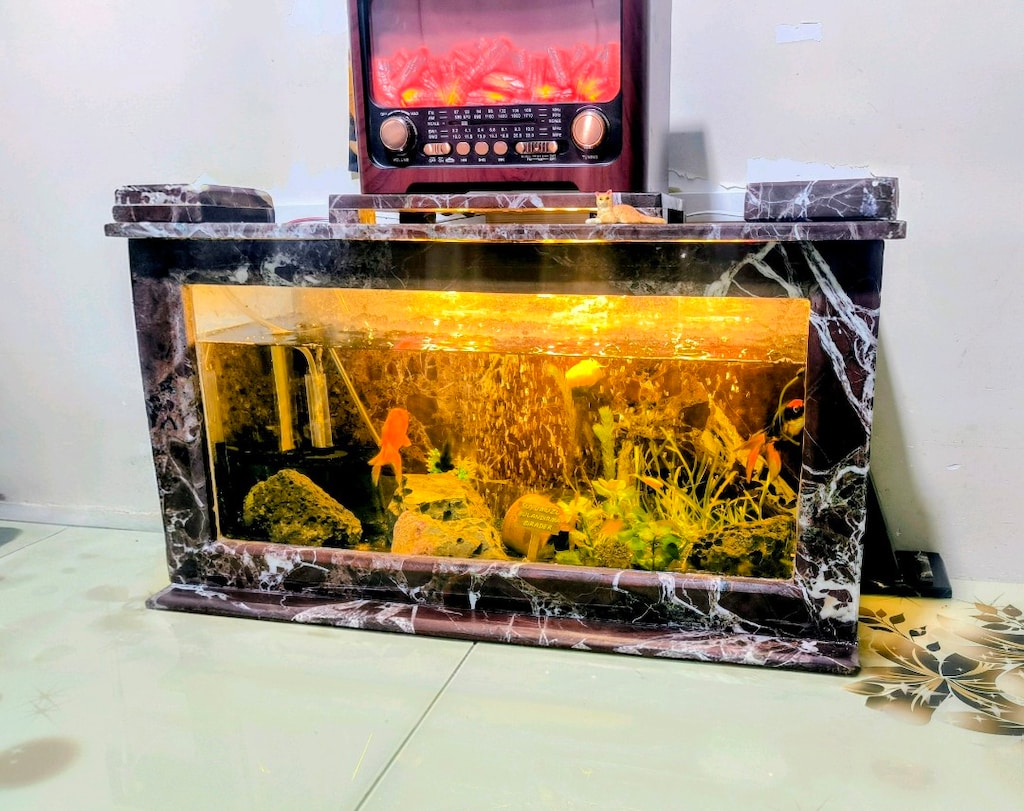 Mermer akvaryum - 2