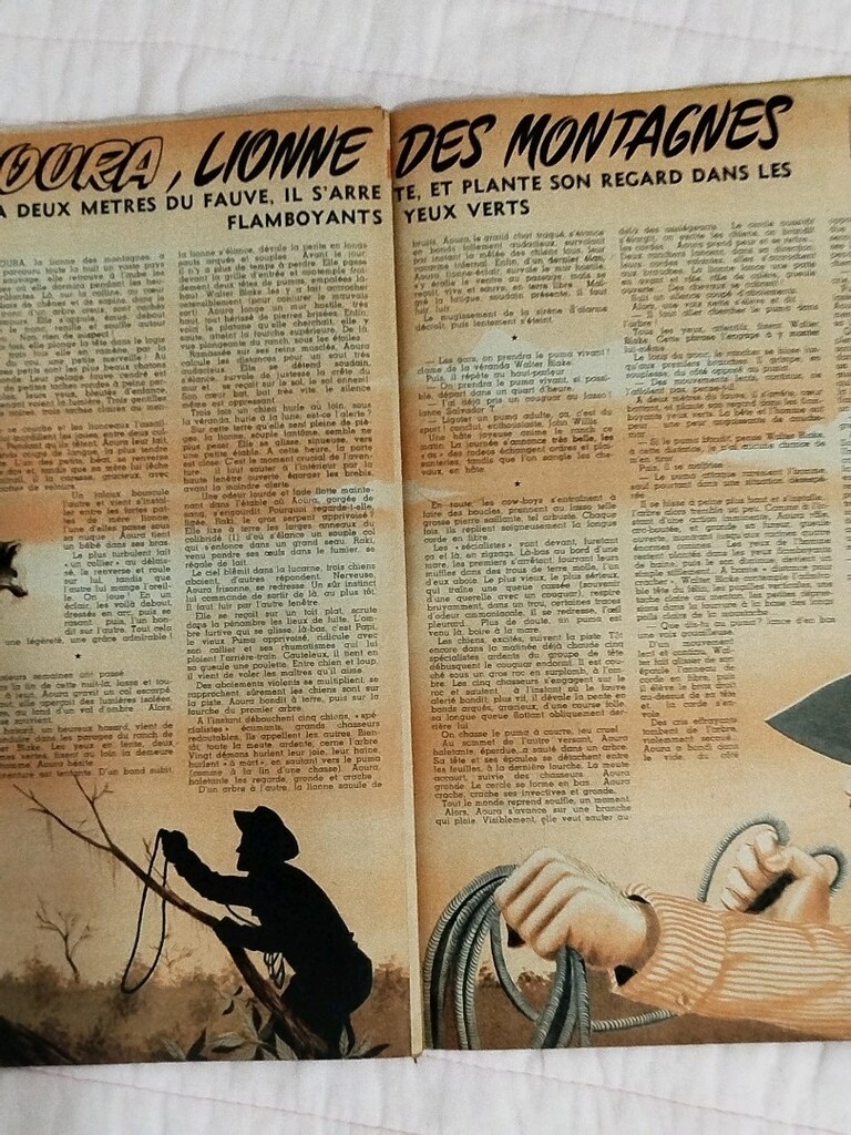 Le Journal de Tintin'' Tintin Dergileri, 1956, Fransızca,22 adet+SPRİO - 10