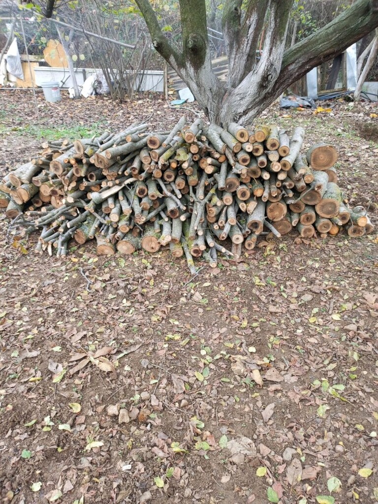 3 TON KURUTULMUŞ SOBALIK KESİLMİŞ CEVİZ ODUNU - 4
