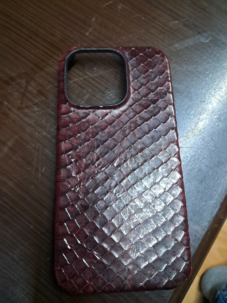 iPhone 16 Yılan Derisi kılıf - 8