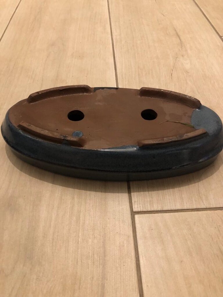 Oval Bonsai Saksısı - 5