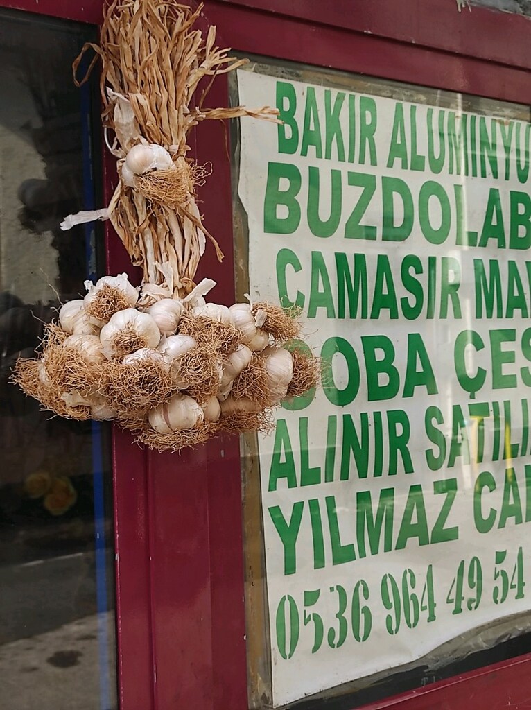 Et kantari Hakiki sarı - 8