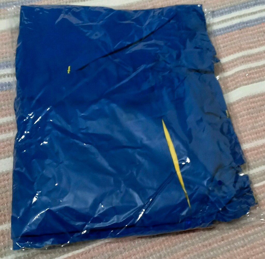 Mavi Şerit Desenli Erkek İş Pantolonu - 10