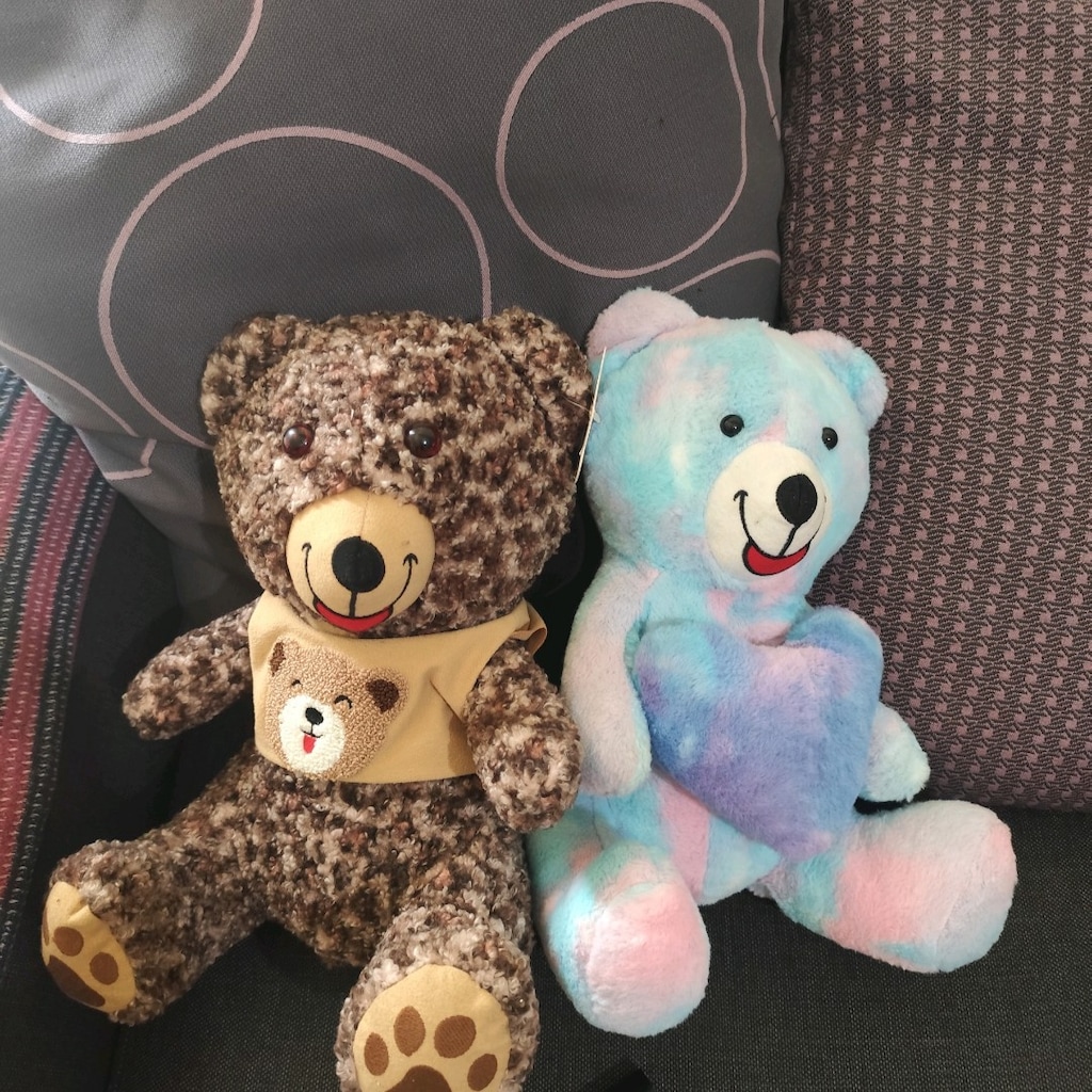peluş ayı 2li - 2