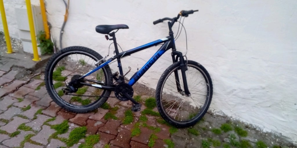 24jant bianci bidesli - 3