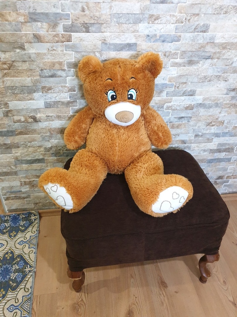 Pelüş oyuncak ayı Açıklamayı Oku - 2
