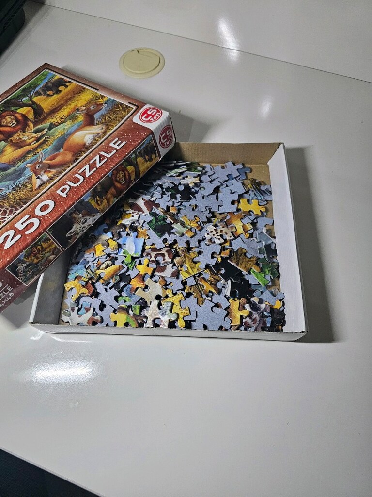 250 parça puzzle - 2