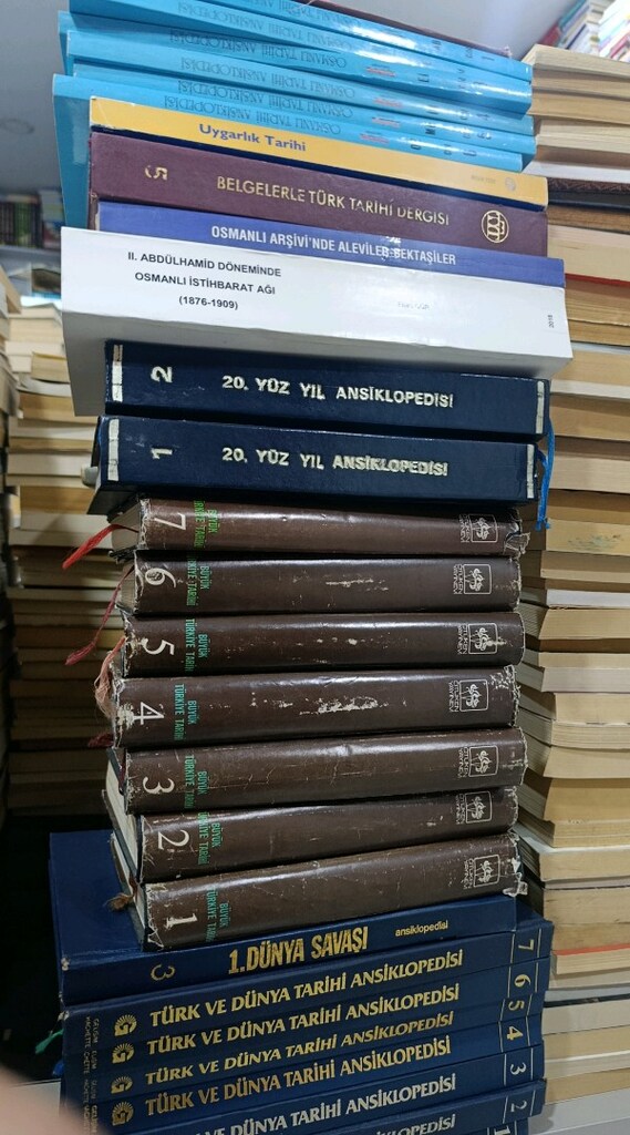 tarih profösörünün kütüphanesi - 6