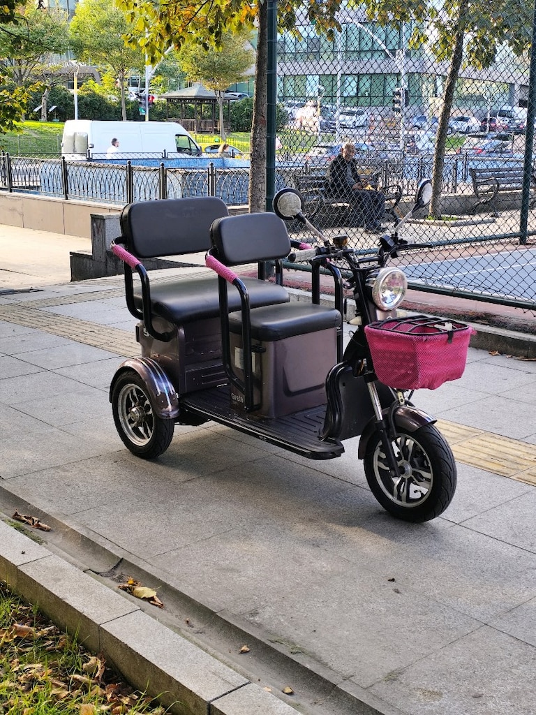 elektrikli motor 3tekerlekli - 2