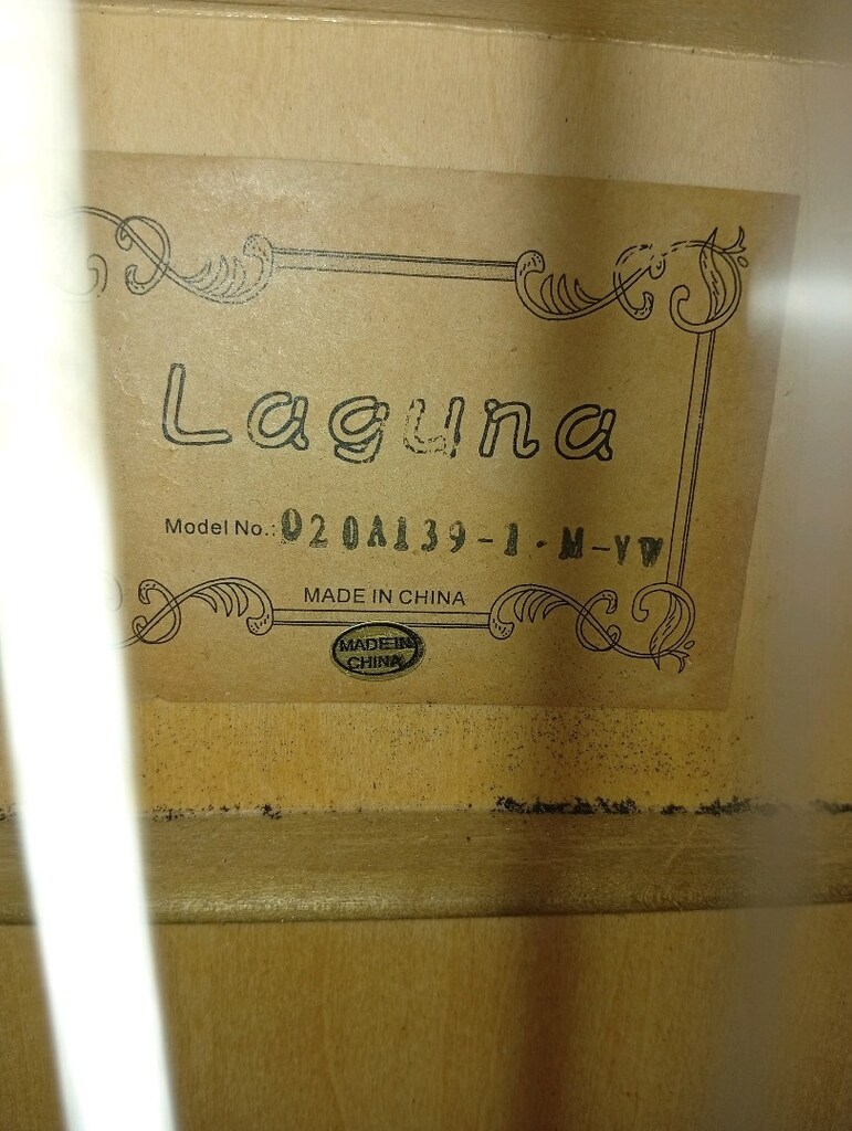 Laguna (Klasik Gitar) ve El yapımı Gitar kutusu - 3