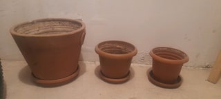 Saksı - 5