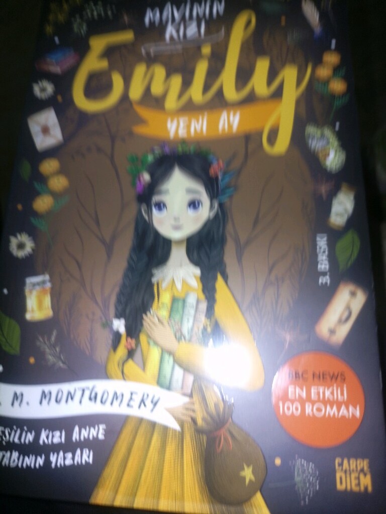 mavi nin kızi Emily kitabı - 3