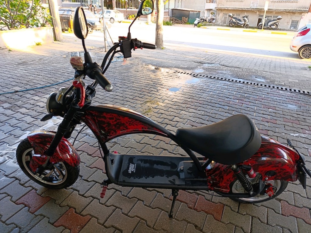 Chopper görünümlü Yuki shansu