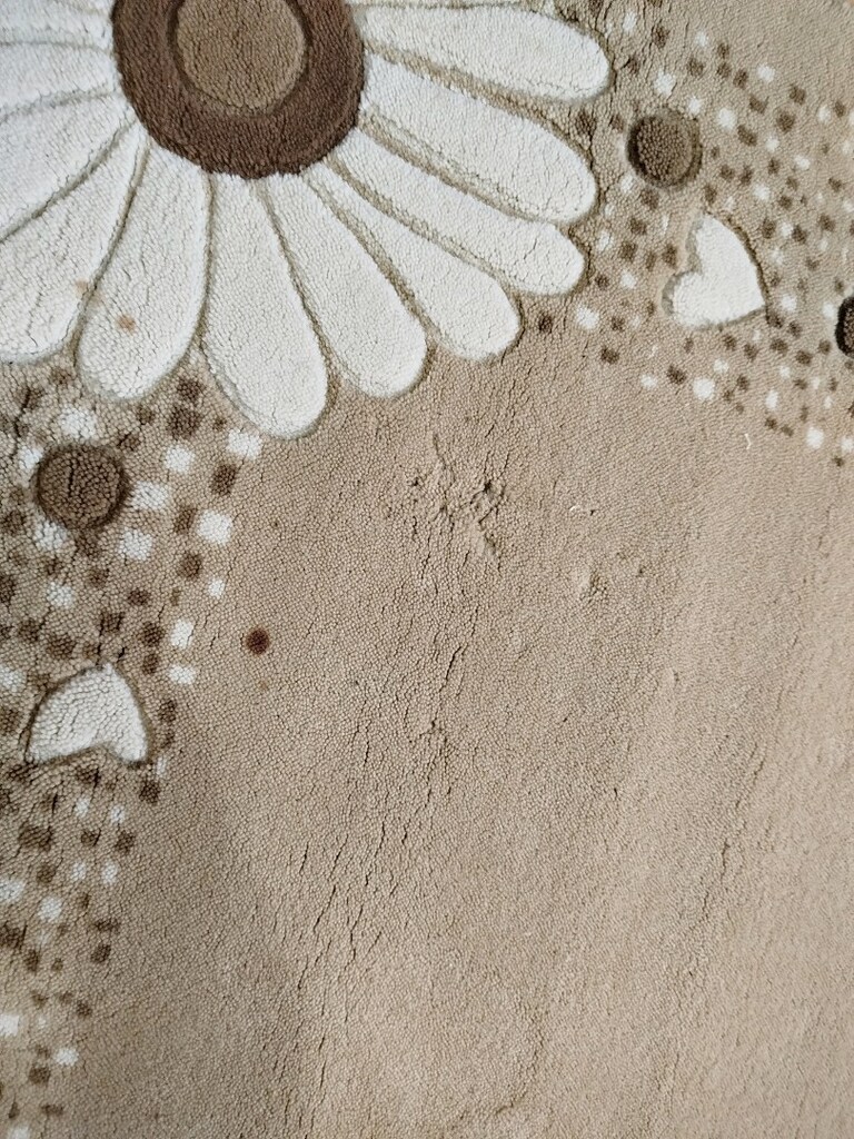 Çok yumuşacık kalın halı 120x180 cm boyutunda - 9