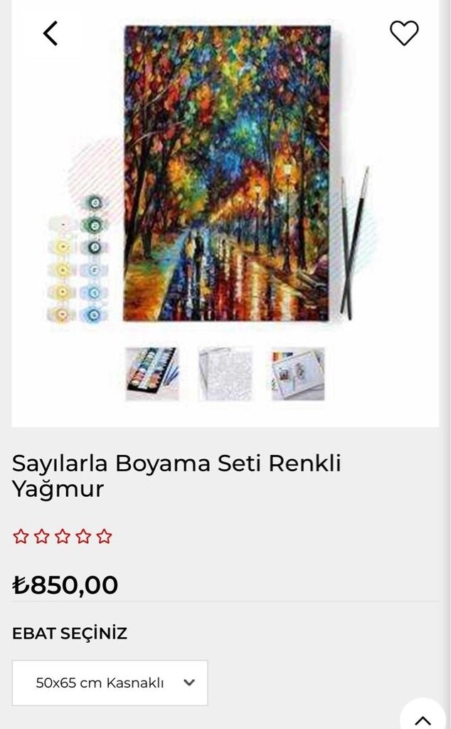 Sayılarla Boyama Hobi Seti - 4