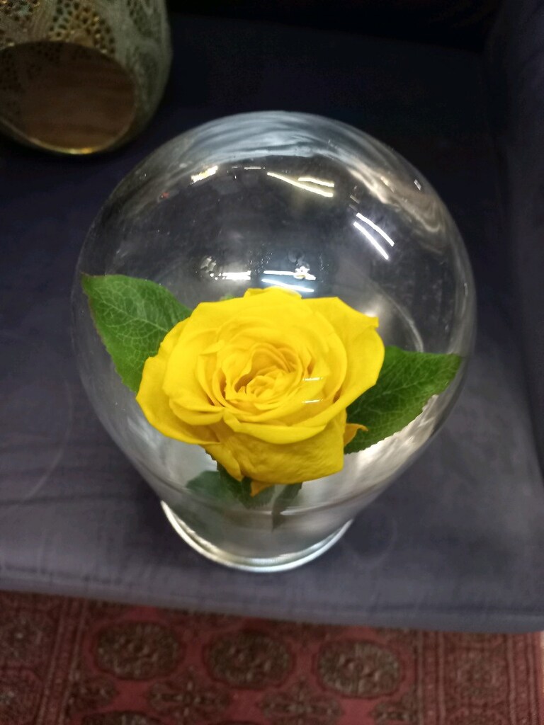 Dekoratif Obje - 3