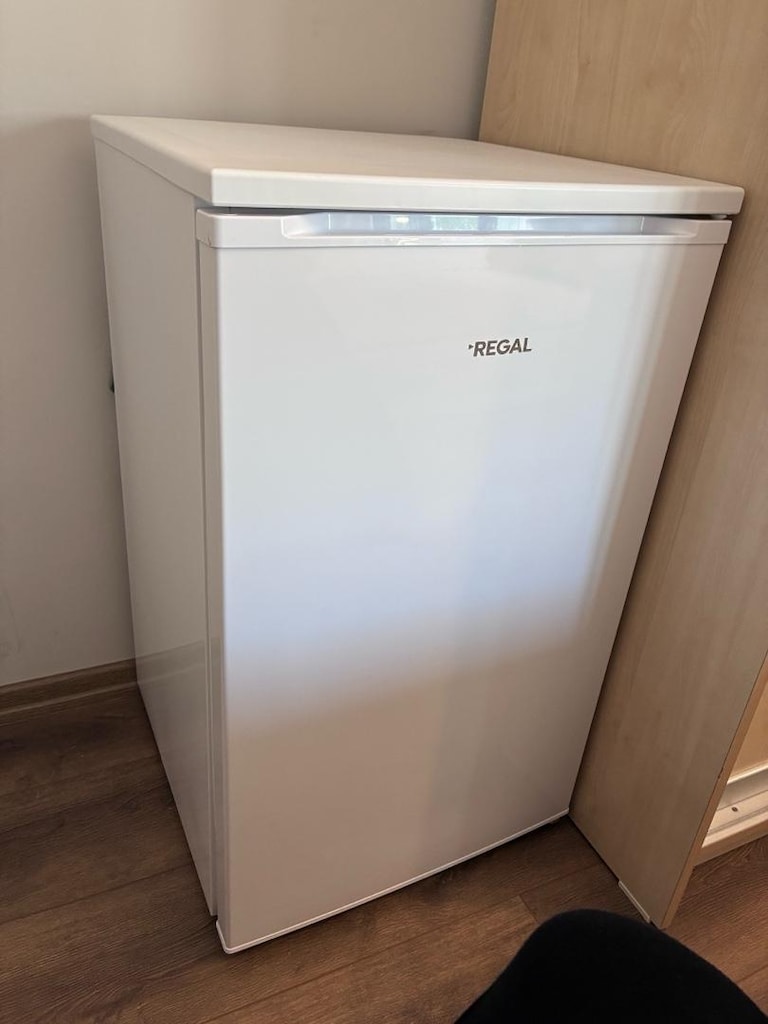 REGAL mini buzdolabı ( yer silivri Gümüşyakada) ) sıfır - 4