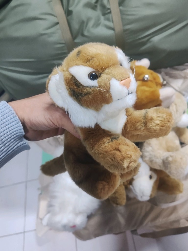 Kahverengi Beyaz Peluşlar - 7