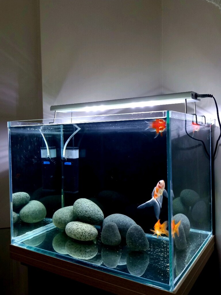 nano akvaryum set 40x30x30 - 5