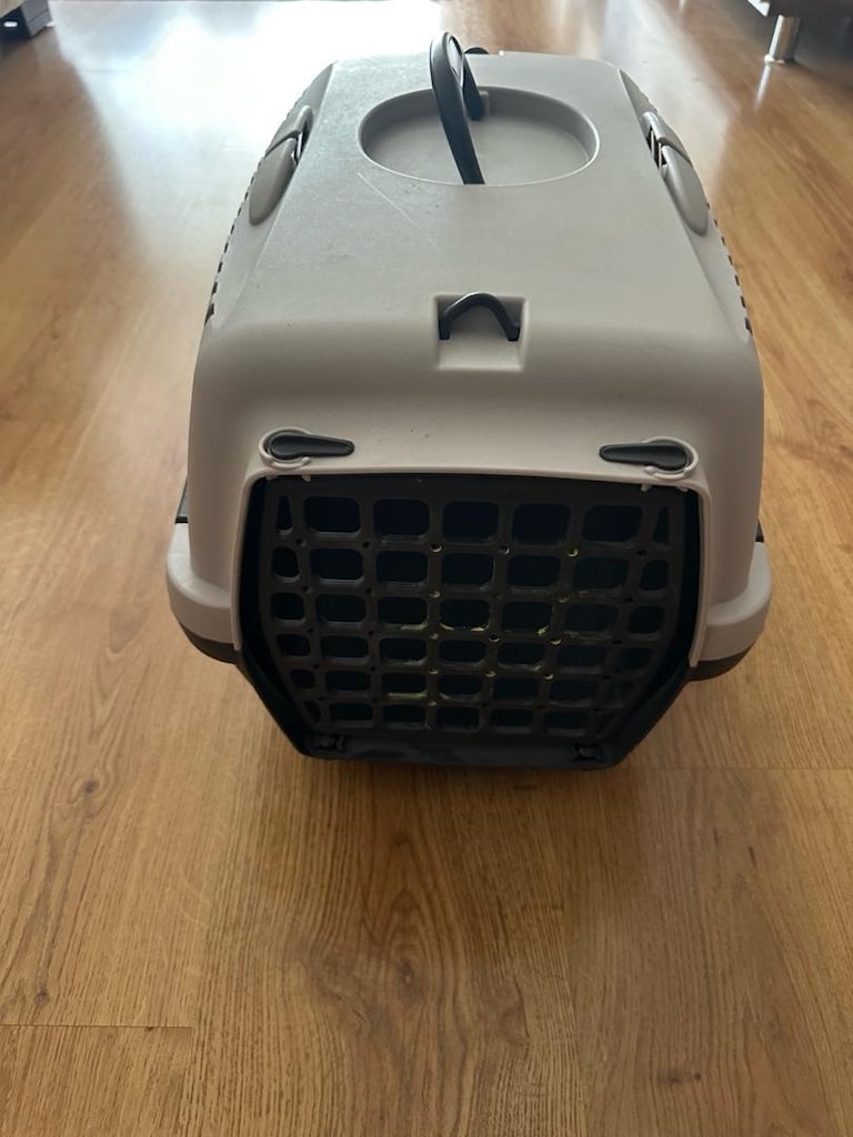 Kadi Köpek Puseti - 2