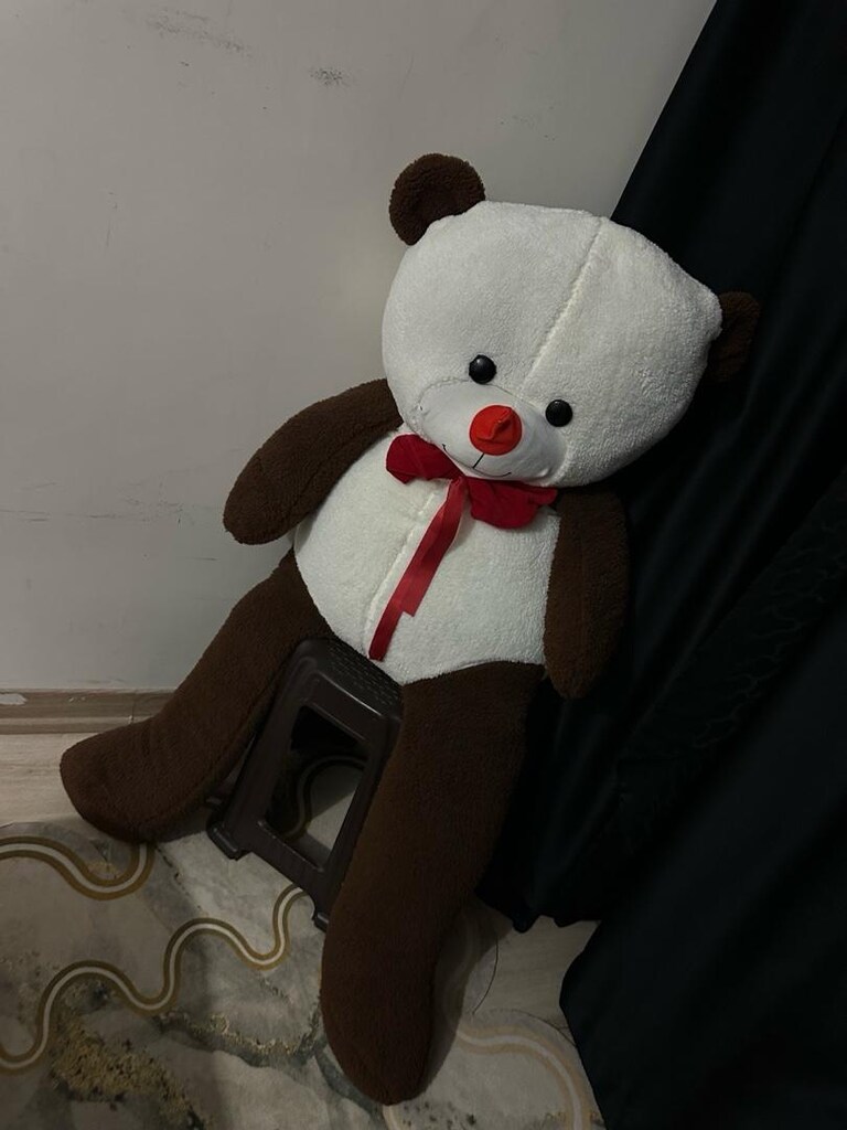 PELUŞ AYI - 4