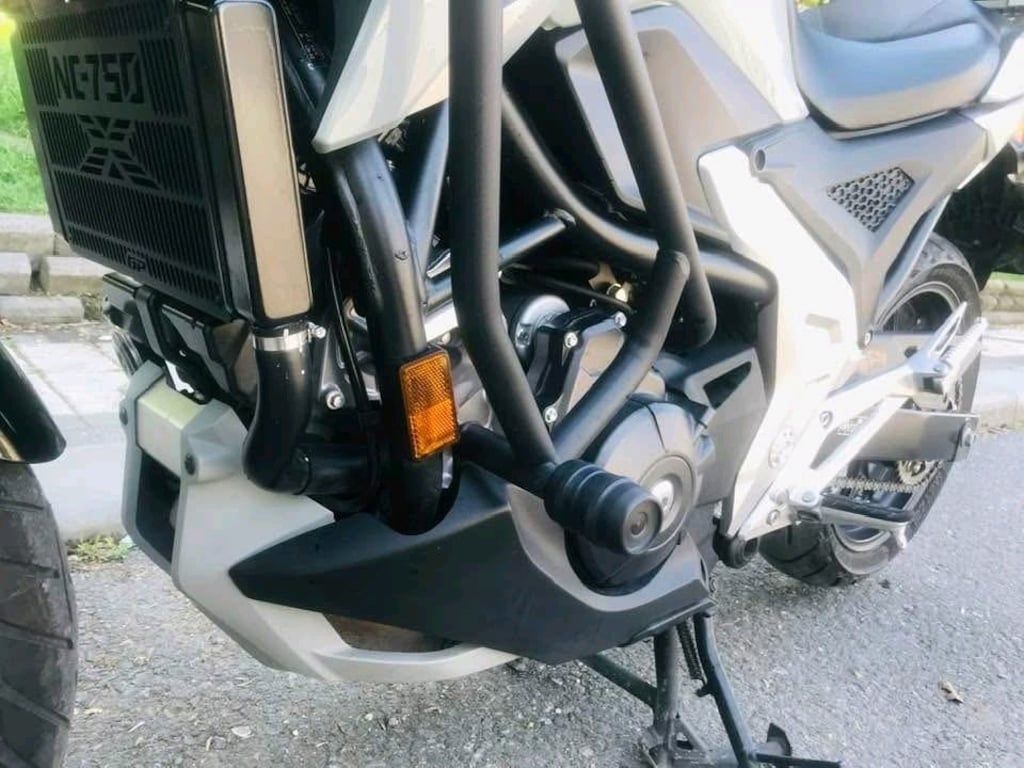 yeni gini - 5