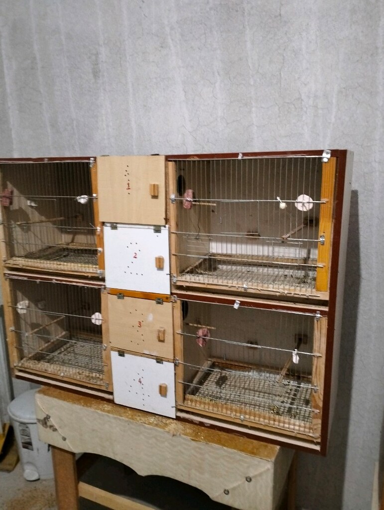kuş üretim kafesi - 4