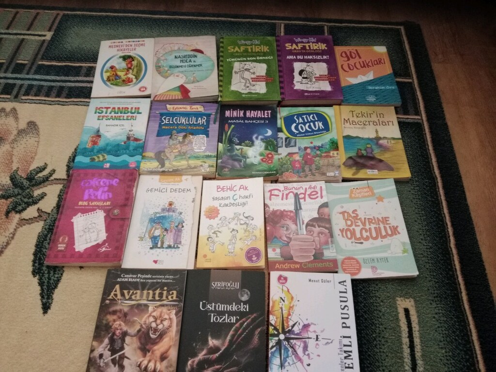 Orta okul için keyifli eğitici kitaplar - 3
