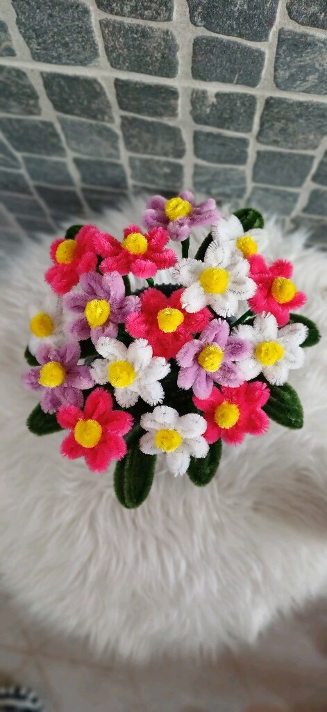 Saksılı Solmayan çiçek - 5