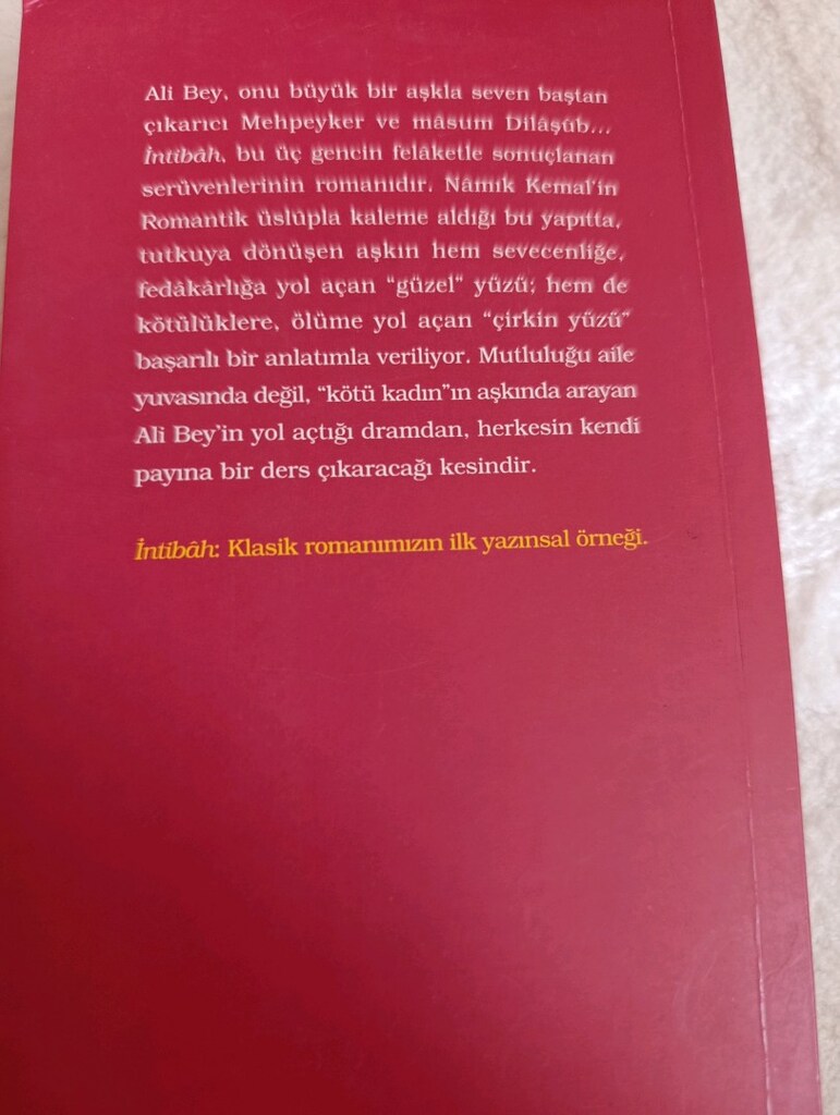 NAMIK KEMAL İNTİBAH ROMAN - 2
