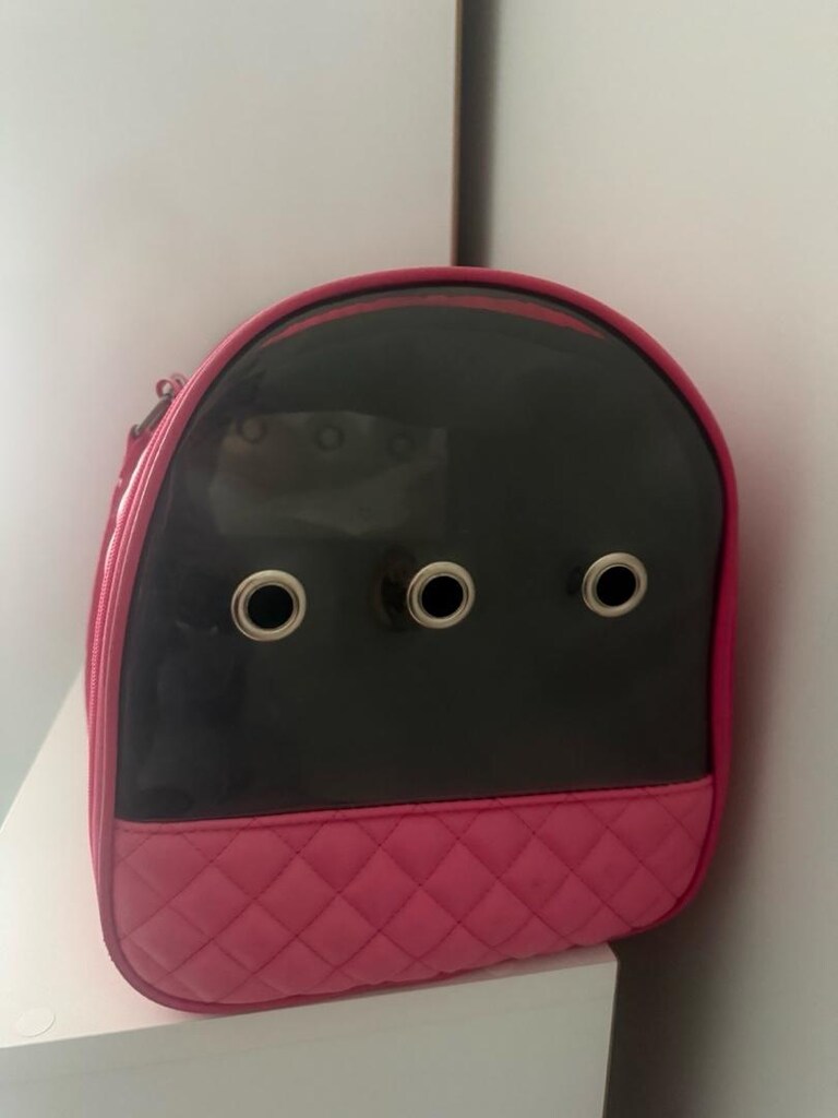 kedi köpek taşıma çantası - 2