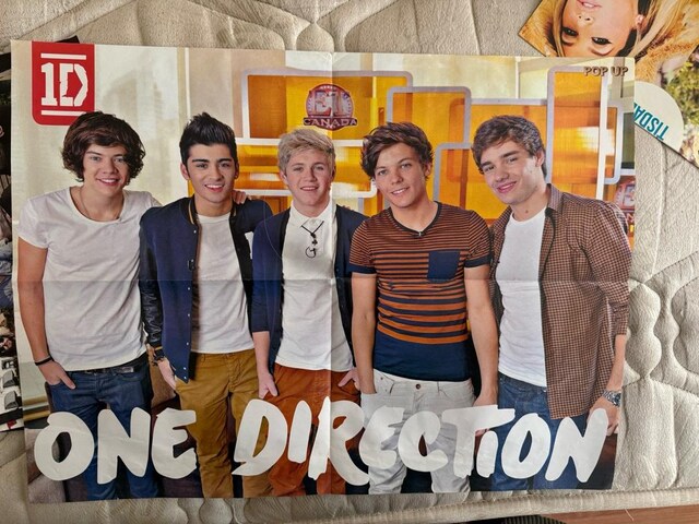 one direction 1d posteri