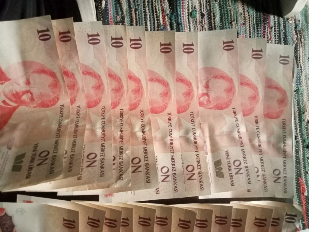 koleksiyonluk eski YTL paralar - 16