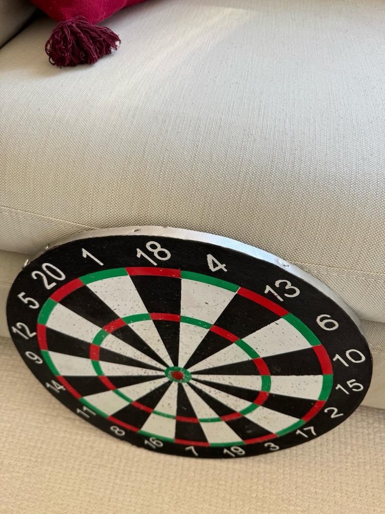 dart tahtası sadece - 4