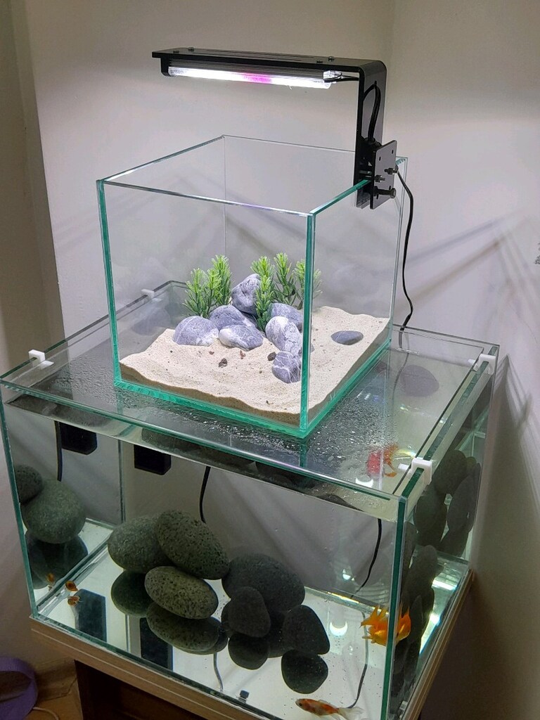 nano akvaryum mini 20x20x20 clear - 2