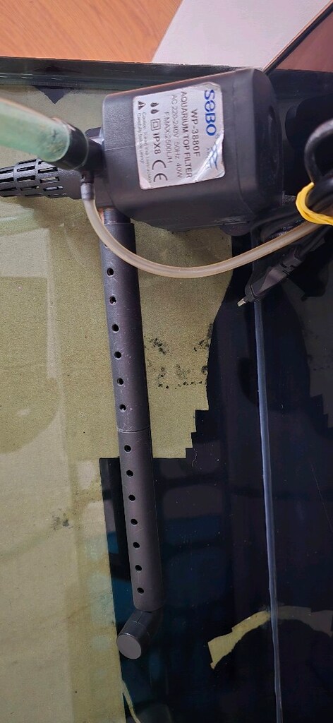 akvaryum ışık ve tepe filtre 80 cm bombeli sehpalı - 18