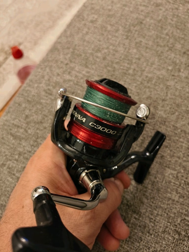 Shimano Sienna C3000 FG. - 2