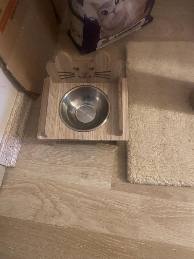 60 cm tırmalama tahtası mama kabı 5 kilo kum - 3