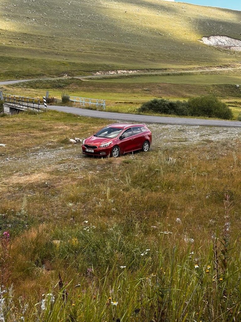 kıa ceed sw 1.6 dizel otomatik - 2